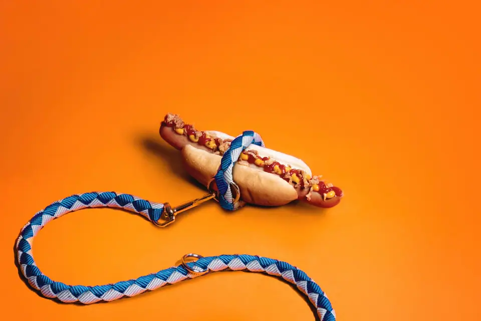 A hot dog on a braided dog leash against an orange background
