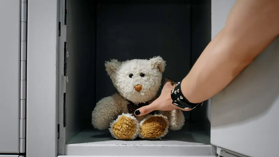 A hand tucking a teddy bear into a station luggage locker
