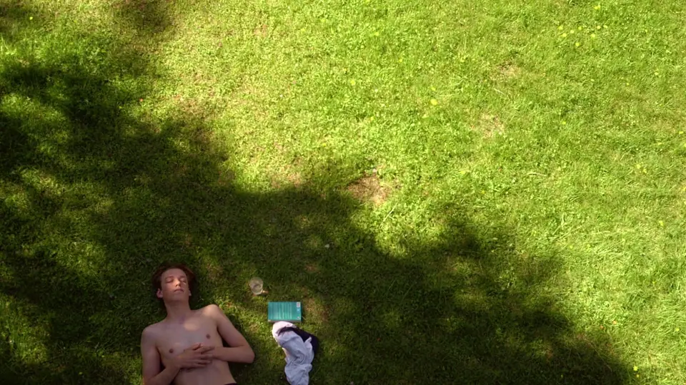 A boy lying in the grass in dappled shade
