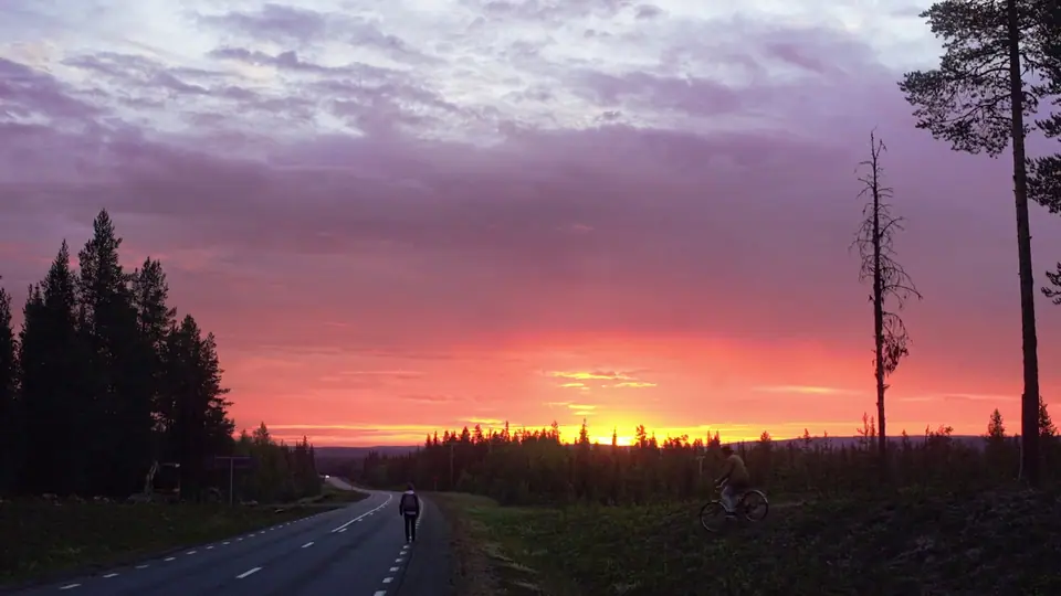 A red sky over a pine forest road at night