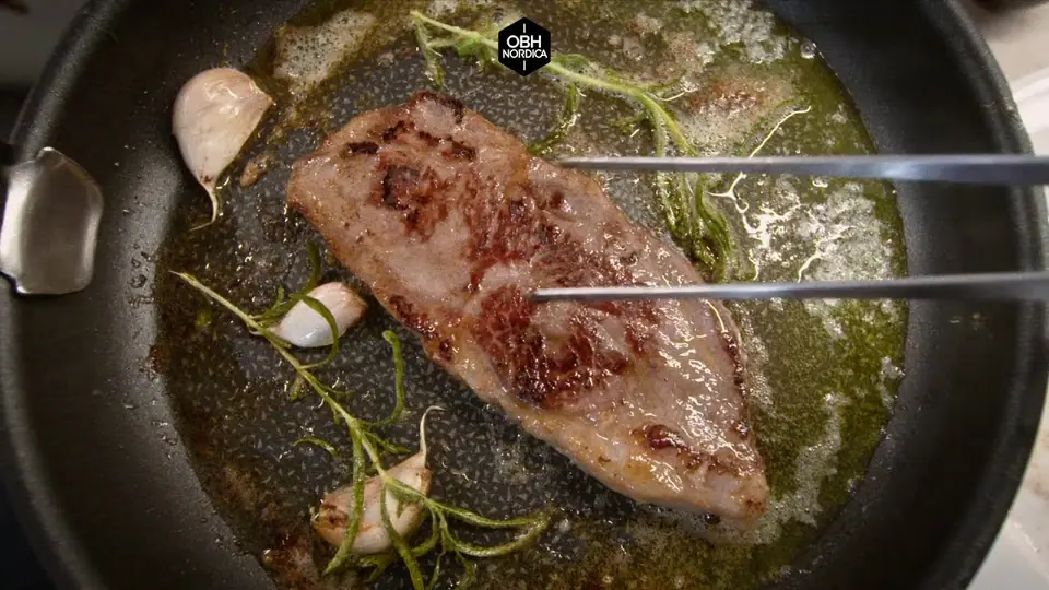 OBH Nordica Sous Vide